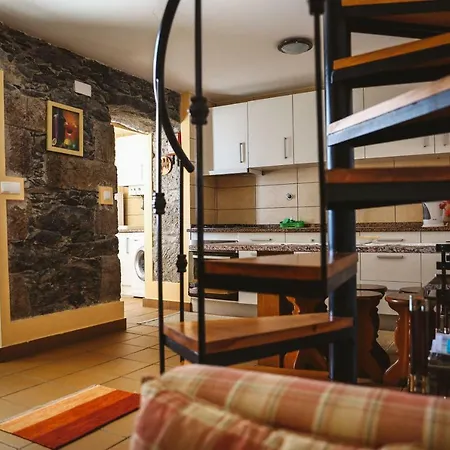 Raposeira Chloe T2 *