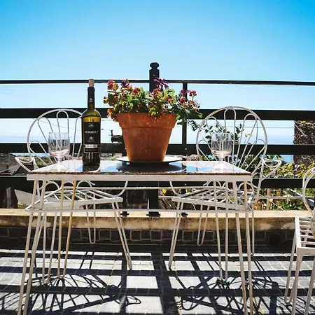 Raposeira Chloe T2 Фажан-да-Овель