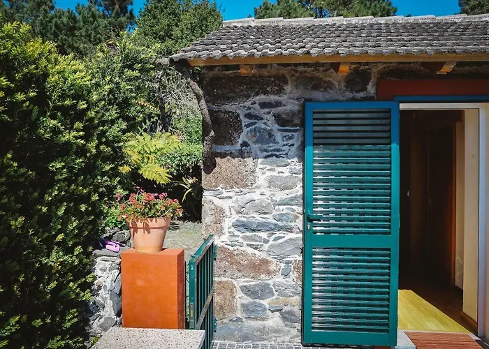 Raposeira Chloe T2 Fajã da Ovelha