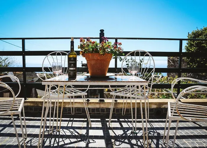 Raposeira Chloe T2 Fajã da Ovelha